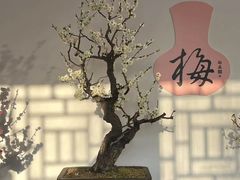 -颐和园