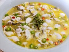 -青花椒花椒鱼(合生汇店)