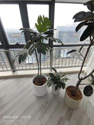 -HEYAN荷妍专业脱毛连锁机构
