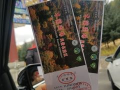 -塞罕坝国家级自然保护区