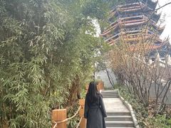 -铁山坪森林公园