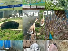-上方山森林动物世界