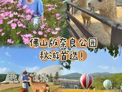 -盈香心动乐园