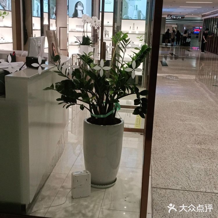 脱毛