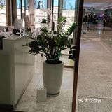 脱毛