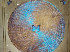 -上海昆虫博物馆