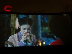 -枫花园汽车电影院(朝阳公园店)