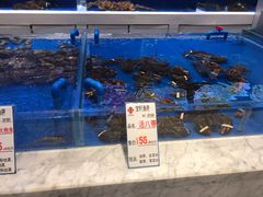 水产区-宝轩渔府·老字号海鲜·正宗津菜(水上店)