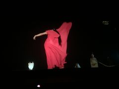 -奥斯卡升龙国际影城(RealD Cinema)