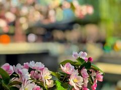 -海棠花溪(元大都城垣遗址公园)