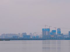 -瑶湖郊野森林公园