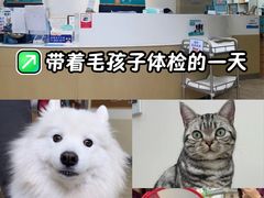-美联众合动物医院·24h转诊中心