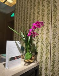 -文华东方水疗中心