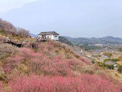 -原乡小镇度假乐园