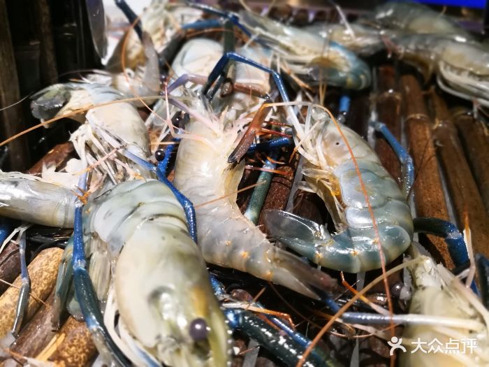 臻府·自家渔船港式鲜捞泰国虾图片