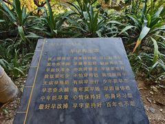 -观澜山水田园