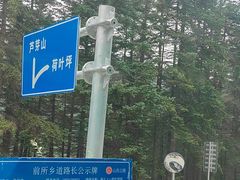 -芦芽山旅游度假区
