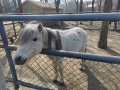 -长白岛森林公园