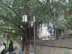 IMG_4165-铁路文化公园