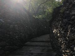 -南窖乡水峪村山情农家