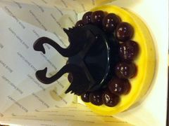 android_upload_pic-BLACKSWAN黑天鹅(环球店)