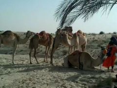 -迪拜帆船酒店海底餐厅