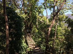 -清迈丛林飞跃 JungleFlight