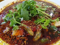 -胖大姐黄辣丁鱼庄(新津店)