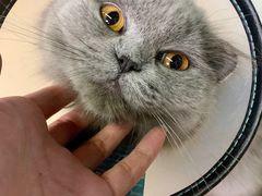 -Vamos巴猫司健身中心(五角场店)