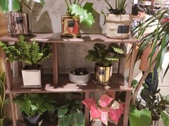 -代字行家居 DZH HOME(正弘城店)