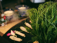 -新草堂锅物料理(泉城路店)