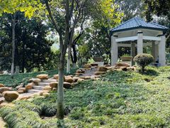 -后襄河公园