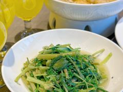 -望乡楼上海菜(日月光店)