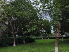 -成都银泰城