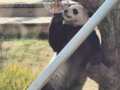 -无锡动物园·太湖欢乐园