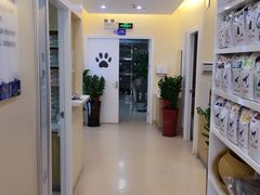 -芭比堂动物医院·24小时·眼科中心(深圳中心)
