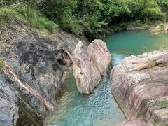 -广州白江湖森林公园