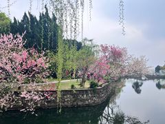 -无锡蠡湖国家湿地公园-蠡园