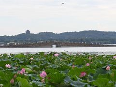 -印象西湖·最忆是杭州实景演出