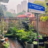 来山伴庭院，只款待重要的你[爱心]