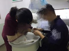 -汪说喵讲宠物乐园宠物酒店(红星美凯龙店)