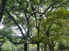 -上海虹桥迎宾馆