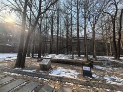 -阳台山自然风景区