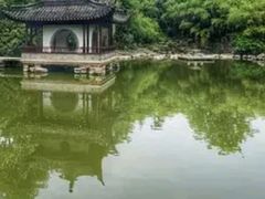 -水绘园