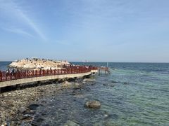 -养马岛旅游度假区