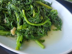 -欢乐海岸美食联盟