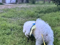 -蜀冈西峰生态公园