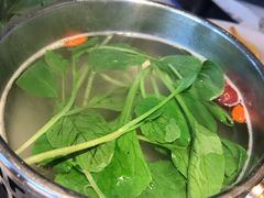 水煮鸡毛菜-初蓉丨遇见新川菜(亲贤街荣耀店)
