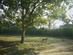 -上海野生动物园