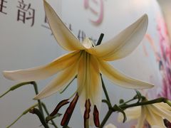 -中国农业博物馆